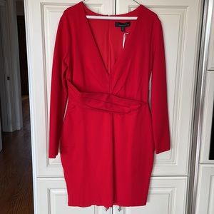 NWT Adelyn Rae long sleeve dress, size M, perfect for work! Smoke/pet free home